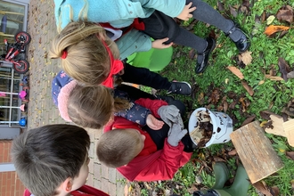 Children looking at what lives in a beetle bucket