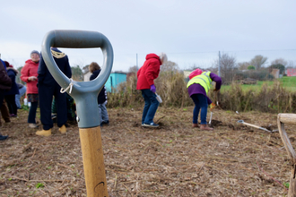 shovel handle, in background volunteers are planting trees