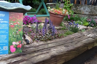  display garden with examples of wildlife friendly planting, wildlife boxes and links to many more ideas for your garden.