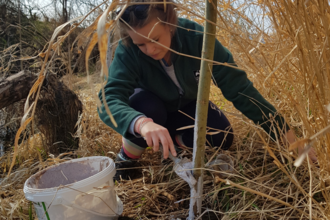 person installing Beaver management methods