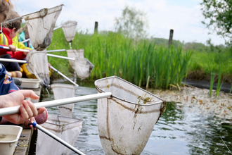 pond dipping nets held over pond 