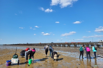 Ryde 2023 Intertidal Survey