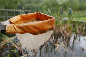 Pond dipping net by a pond