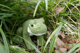 Toy frog in the undergrowth