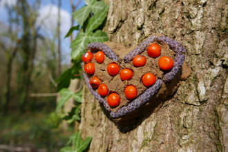 Nature art heart made out of clay, berries and catkins pressed onto a tree trunk.