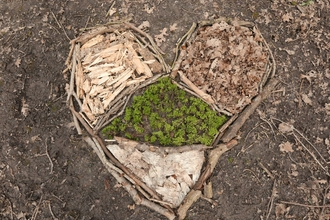 Nature are heart made from moss, sticks and leaves.