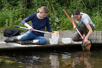 Pond dipping