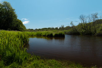 New Forest Land Appeal site