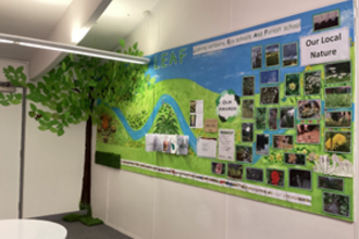Leaf display @Knightwood Primary School