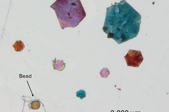 Microplastic fragments under a microscope