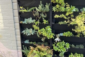a living wall full of green plants