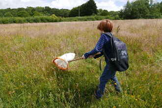 Boy in meadow sweeping the long grass with a net.