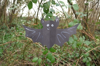 Bat puppet in the woods.