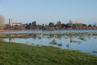 Coastal and floodplain grazing marsh