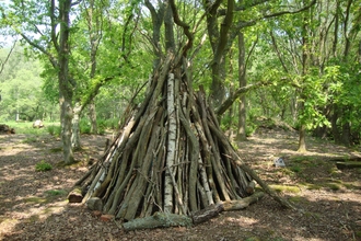 Shelter Swanwick