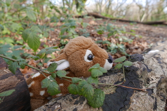 Toy deer in a woodland
