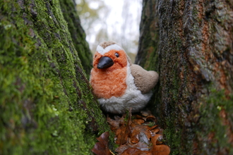 Robin toy in a tree