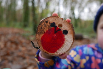 Log slice decorated like a Robin