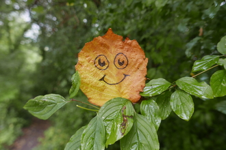 Autumn leaf with a smiley face