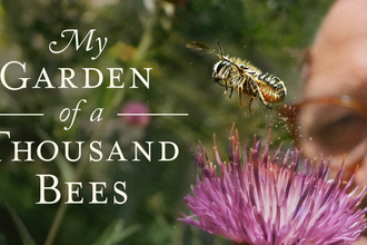 My Garden of a Thousand Bees 