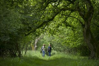 people in wood wildlife trust