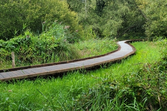 New boardwalk at Winnall Moors Nature Reserve.