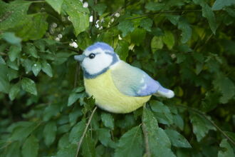 Blue Tit bird toy sitting in a tree