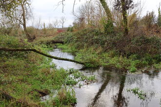 Hockley Meadows Nature Reserve 