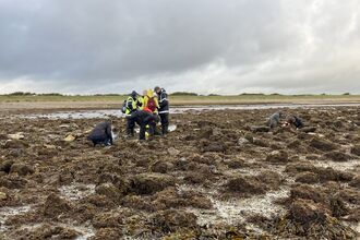 Intertidal survey 17 September 2025