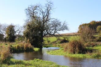River Meon at St Claire's Nature Reserve 