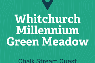Whitchurch Millennium Green Meadow Feature Card