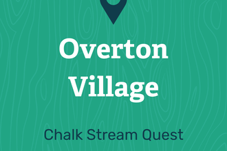 Overton Village Chalk Stream Quest