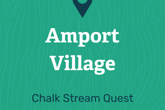 Amport Village Chalk Stream Quest