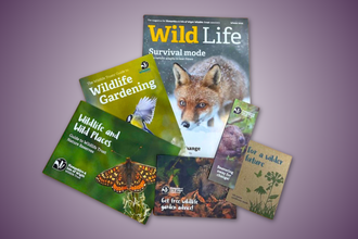 Concessionary Membership pack - A Wildlife Trust membership pack laid out on a purple background, showing magazines and leaflets about wildlife gardening, nature reserves, and conservation, with animal photos including a fox, bird, butterfly, and beaver