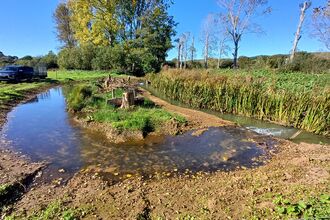 Eastern Yar River Restoration Project 