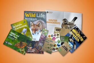 A Wildlife Trust family membership pack displayed on an orange background, including magazines, activity booklets, posters, stickers, and leaflets with wildlife themes such as birds, butterflies, foxes, and nature activities for children