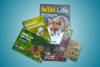 Individual Membership pack - A Wildlife Trust membership pack laid out on a blue background, showing magazines and leaflets about wildlife gardening, nature reserves, and conservation, with animal photos including a fox, bird, butterfly, and beaver