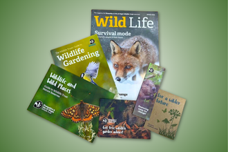 Joint Membership pack - A Wildlife Trust membership pack laid out on a green background, showing magazines and leaflets about wildlife gardening, nature reserves, and conservation, with animal photos including a fox, bird, butterfly, and beaver
