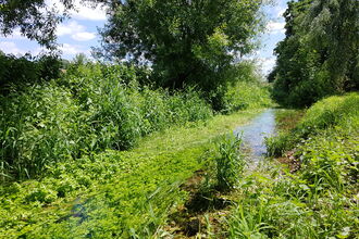 Seasonal streams in full flow with surrounding vegetation © Maggie Shelton