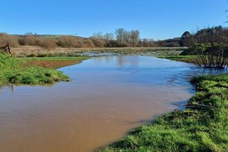 swale allowing water to spread at Newchurch Moors Nature Reserve.