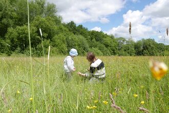 Child and parent in a meadow