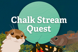 Chalk Stream Quest illistration