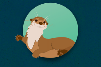 Illustrated Otter coming out of circle