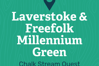 Laverstoke and freefolk millennium green 