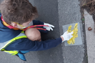 Yellow fish campaign