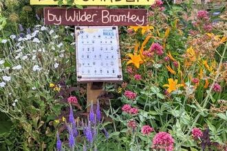 a painted wooden sign reading "Community Bee Garden" surrounded by a vibrant selection of flowers 