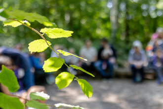 Leafy tree branch in the foreground with a group of adults sitting on woodland benches in a circle in the background. 