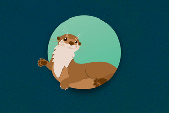 Illustrated Otter coming out of circle