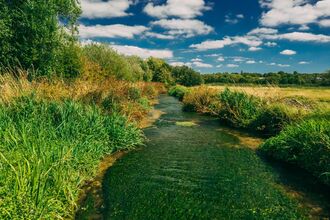 Winnall Moors Nature Reserve
