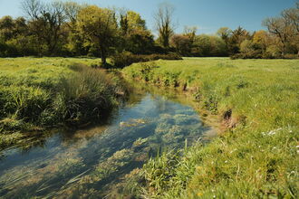 Court House Meadows - Meon Valley